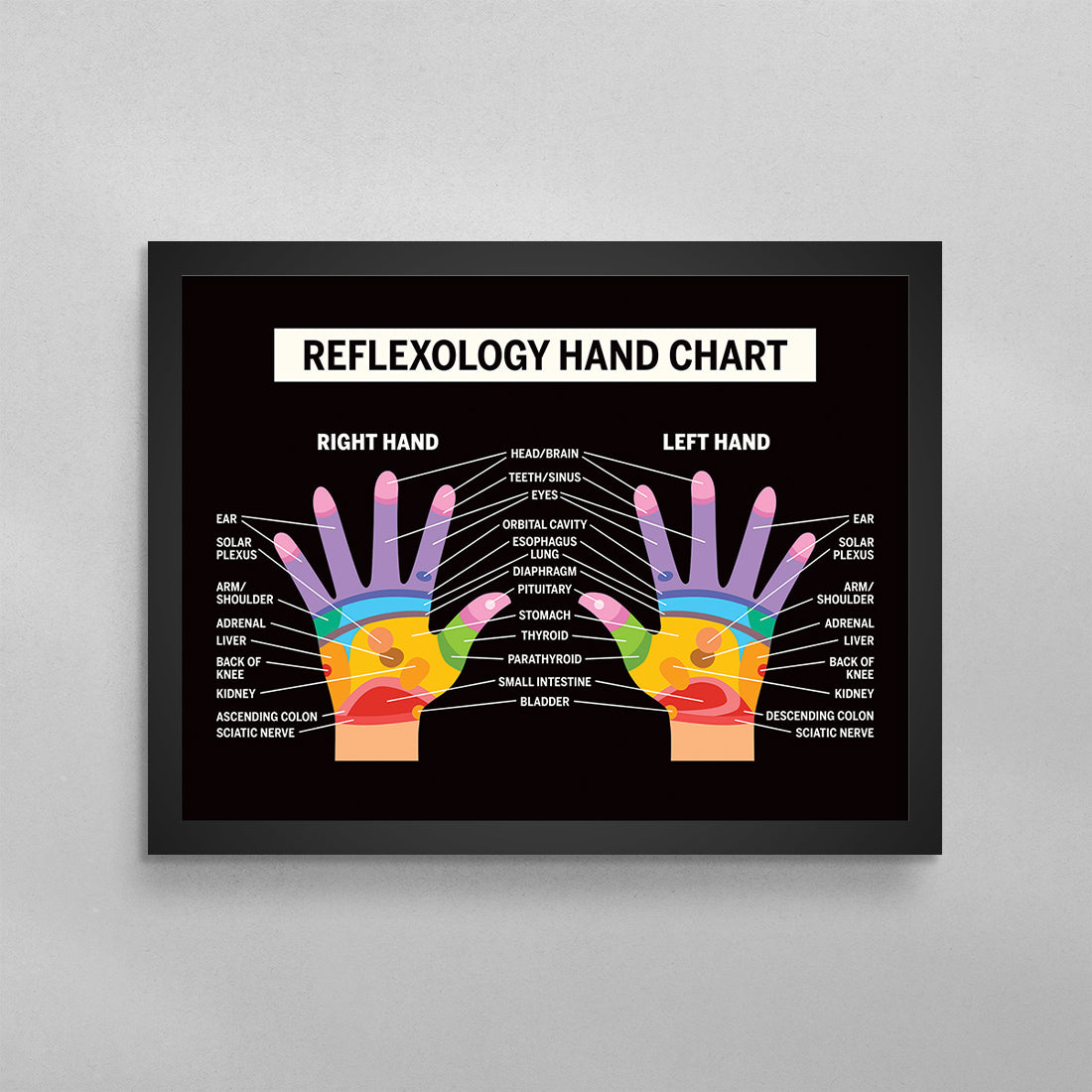 Reflexology Hand Chart Poster
