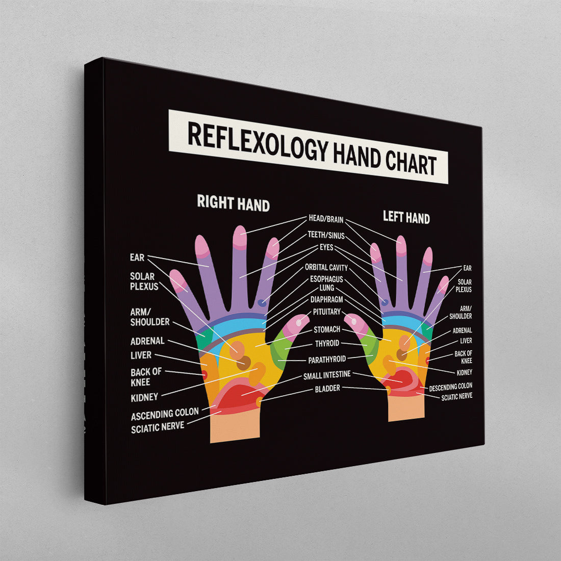 Reflexology Hand Chart Poster