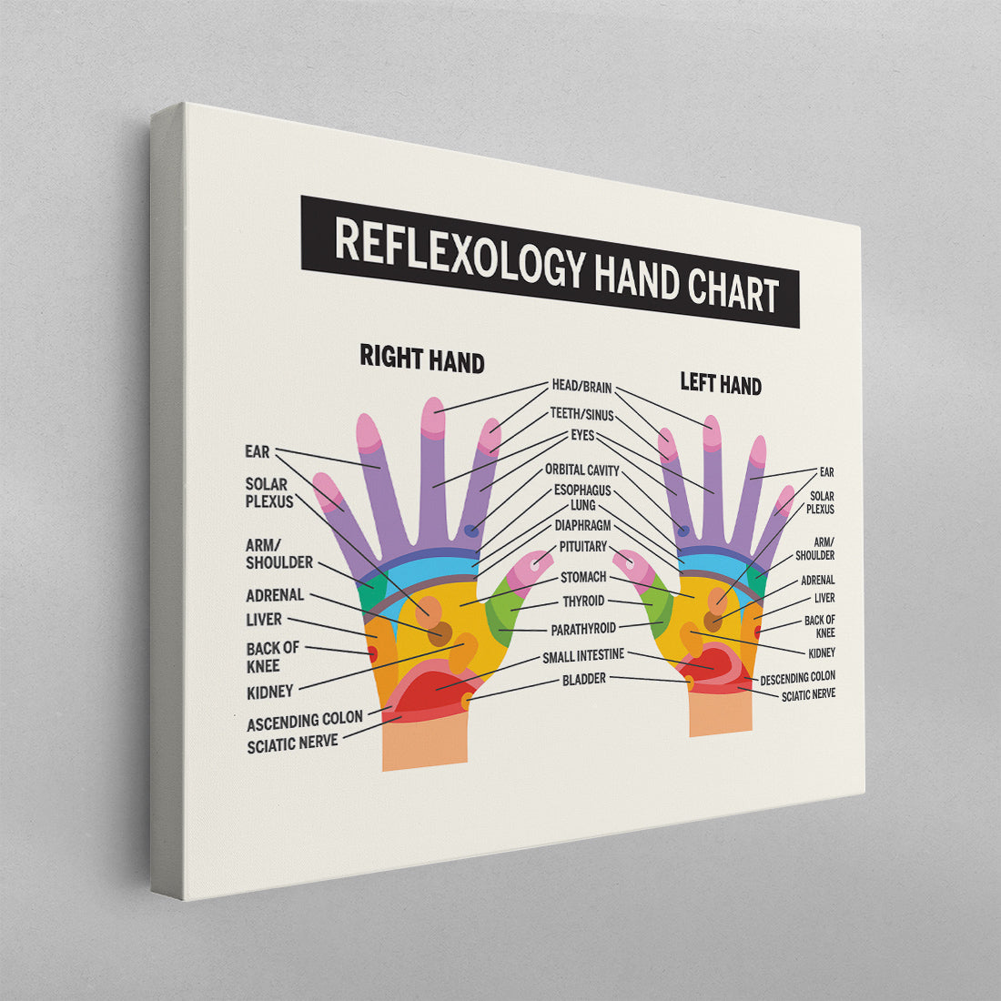 Reflexology Hand Chart Poster