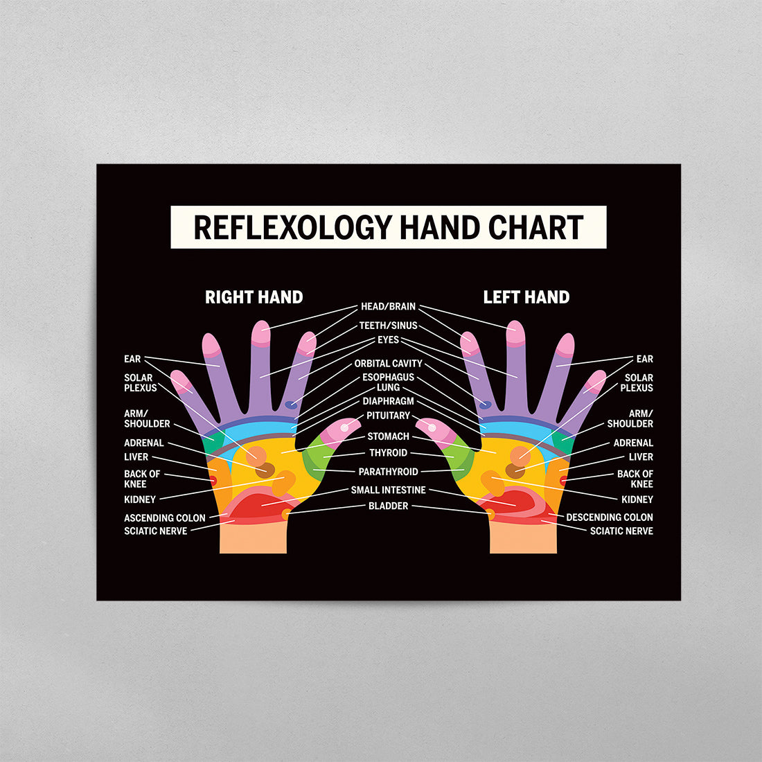 Reflexology Hand Chart Poster