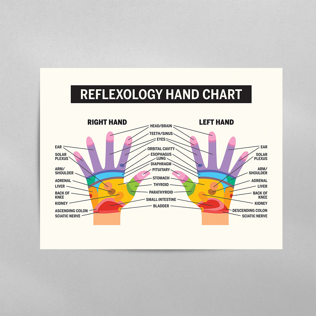 Reflexology Hand Chart Poster