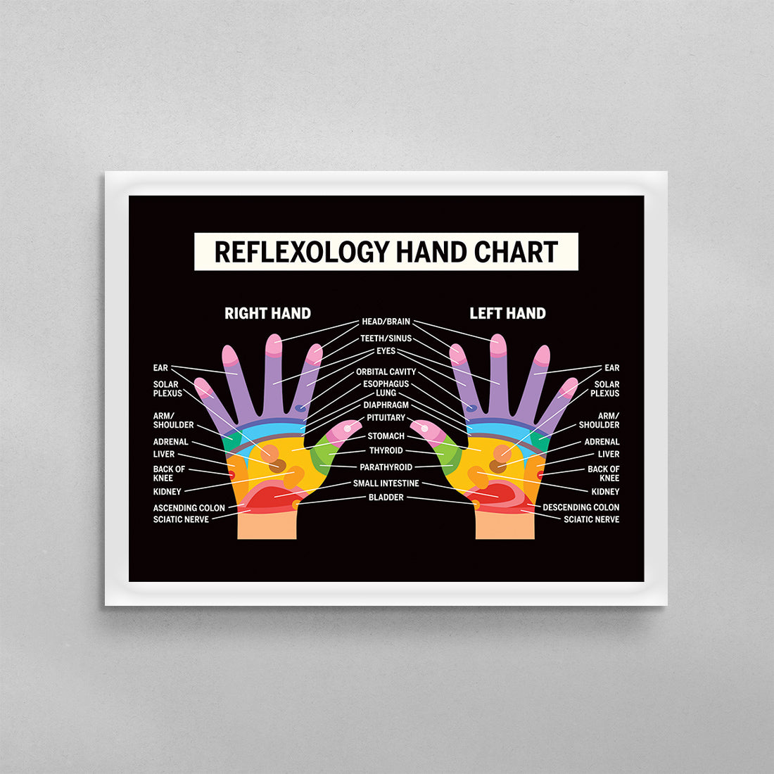 Reflexology Hand Chart Poster