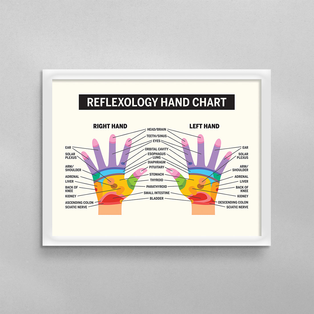 Reflexology Hand Chart Poster