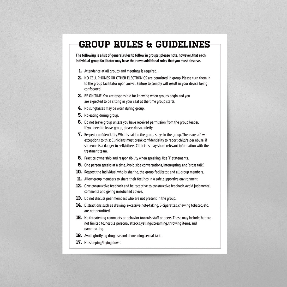 Group Rules and Guidelines Poster