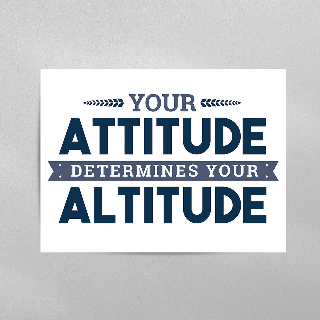 Your Attitude Determines Your Altitude